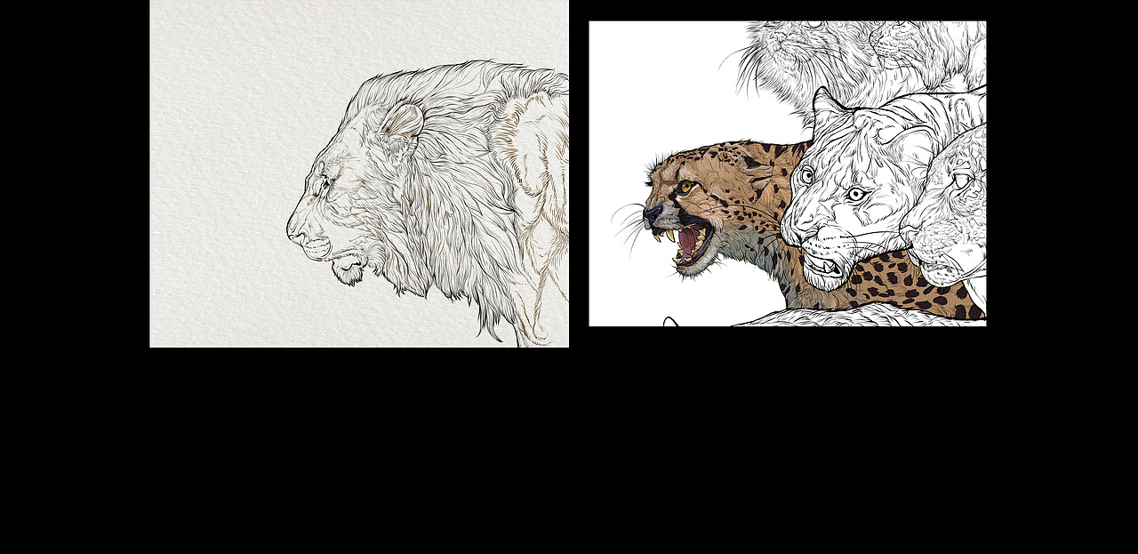 动物插画《喵联盟》完结