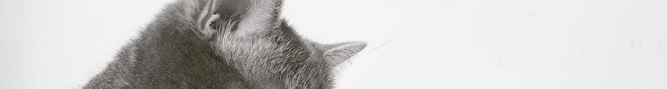 92WANGXL的个人主页（封面预览） - 主页封面设置 - 站酷设计师92WANGXL原创素材 - 站酷ZCOOL