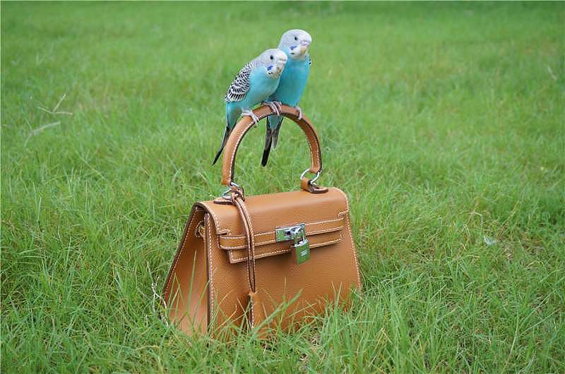 mini Kelly ,鸟和包谁好看?掌纹牛皮配法国山羊皮