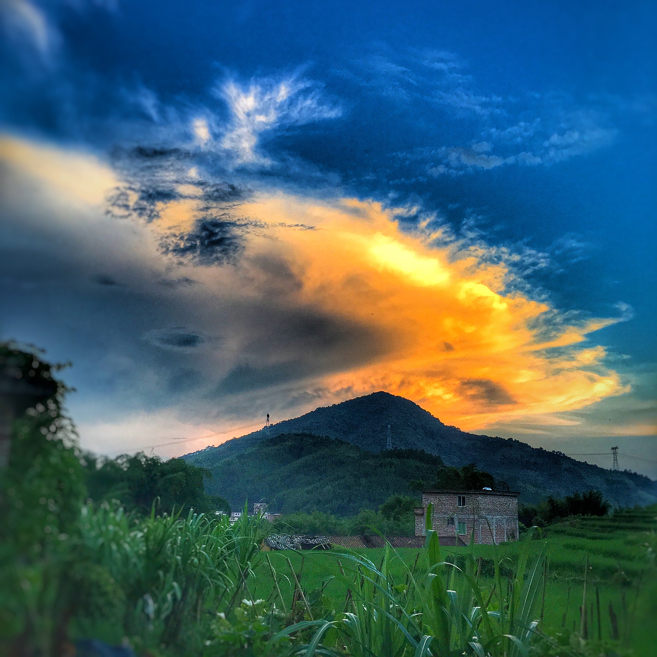 手机 手机 手机