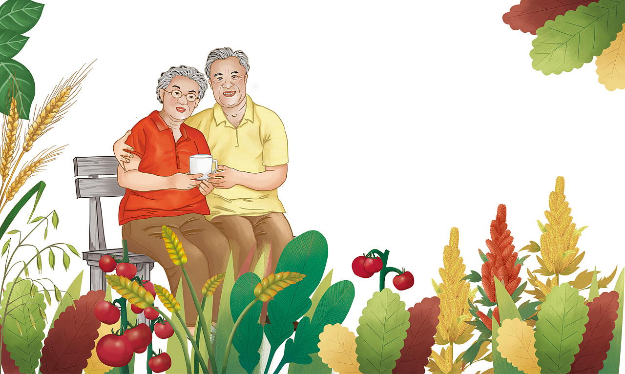 中粮中老年代餐粉原创插画