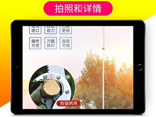 详情和拍照