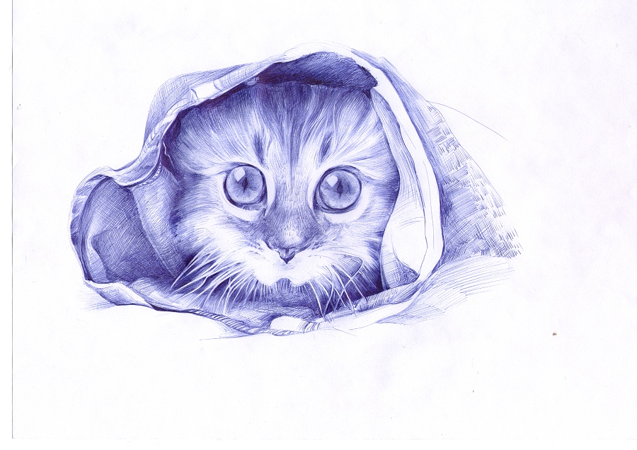 原创作品:猫咪-圆珠笔画