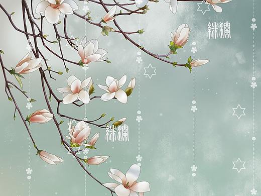 玉兰花