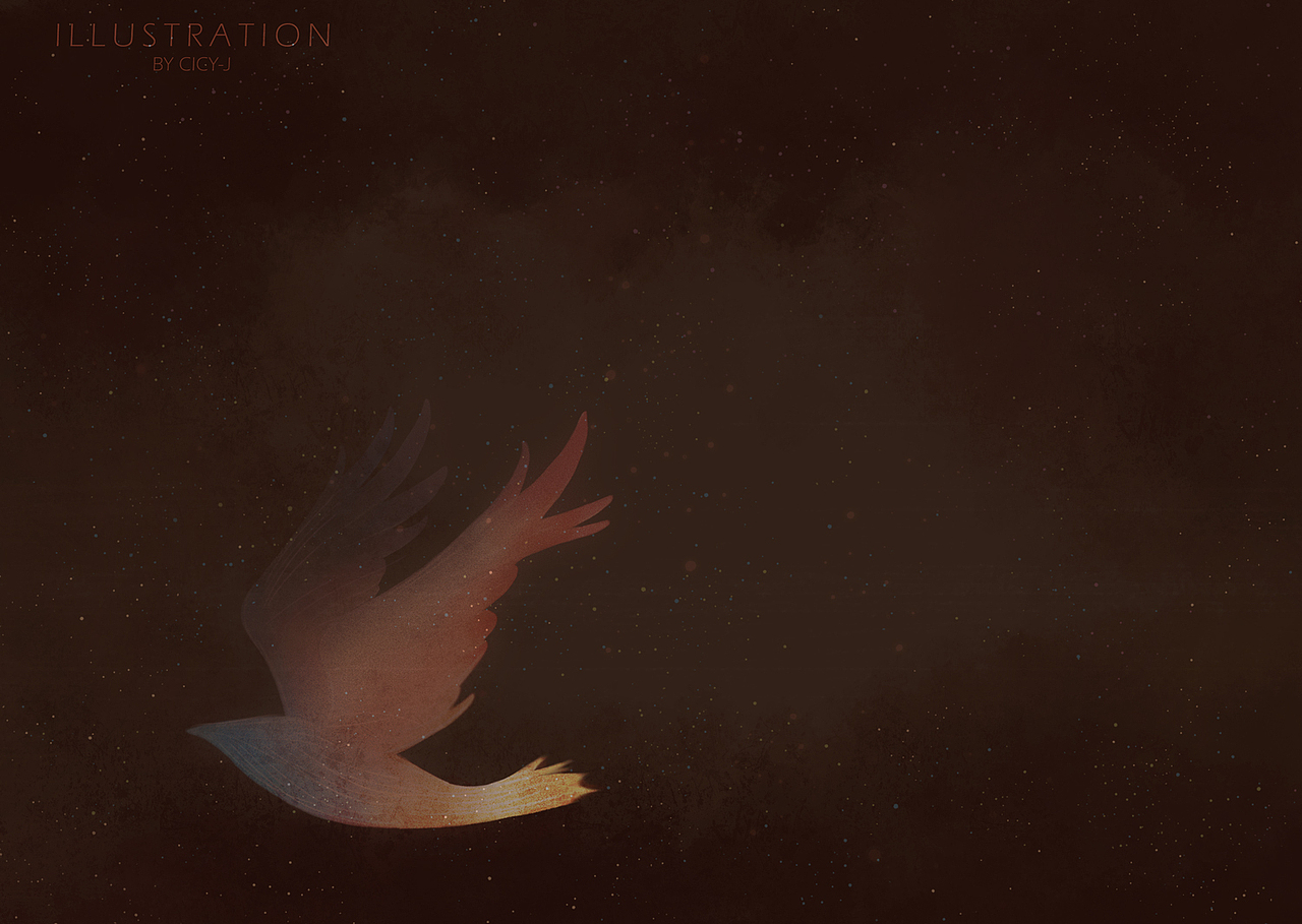 近期的一些教程