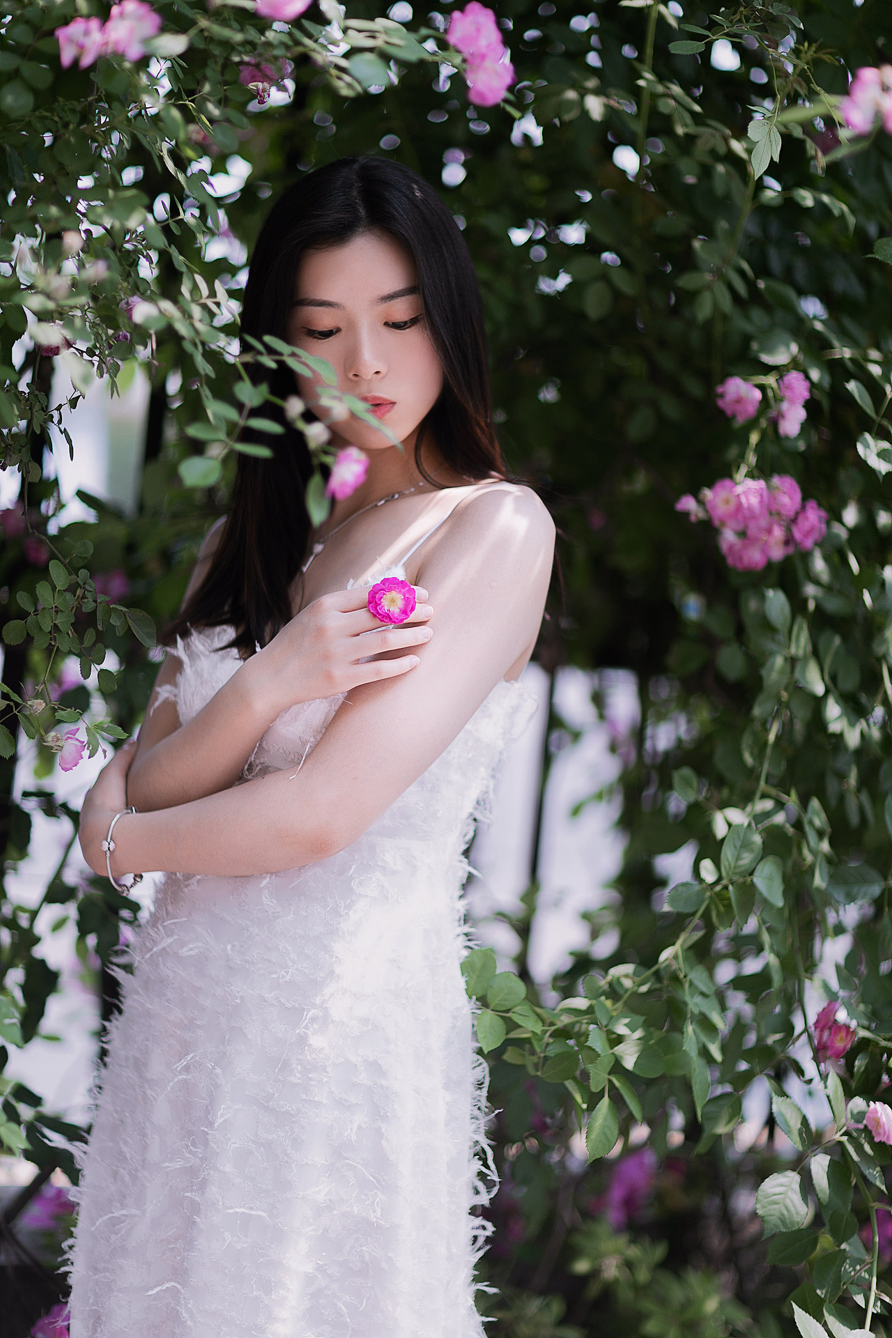 蔷薇与美女（图ZMTE0OTE3NTE2） - 人像摄影 - 站酷设计师李子木LZM原创素材 - 站酷ZCOOL