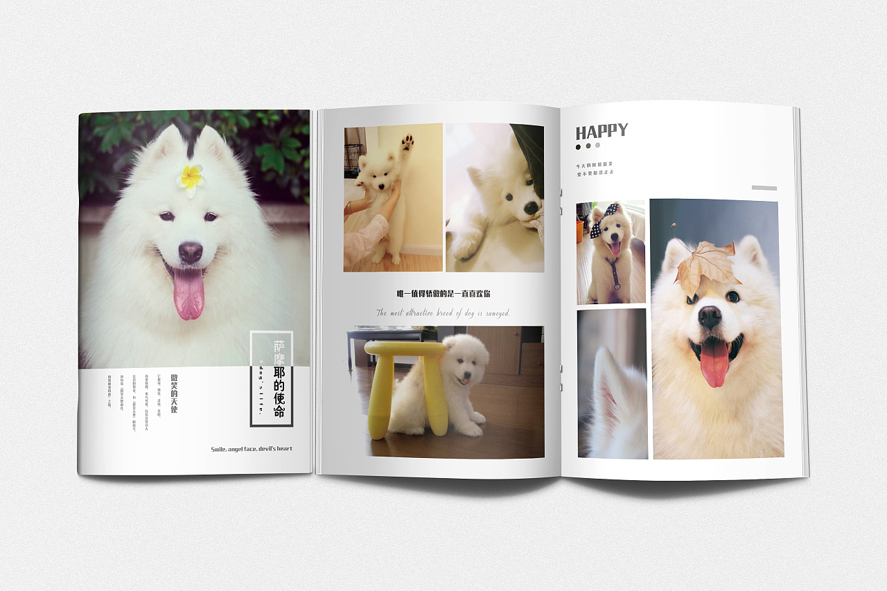 狗狗画册