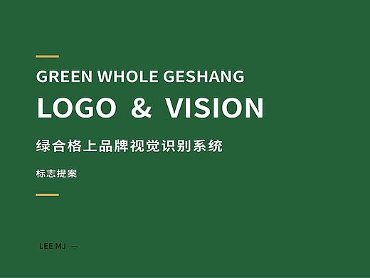 绿合金融公司VI提案