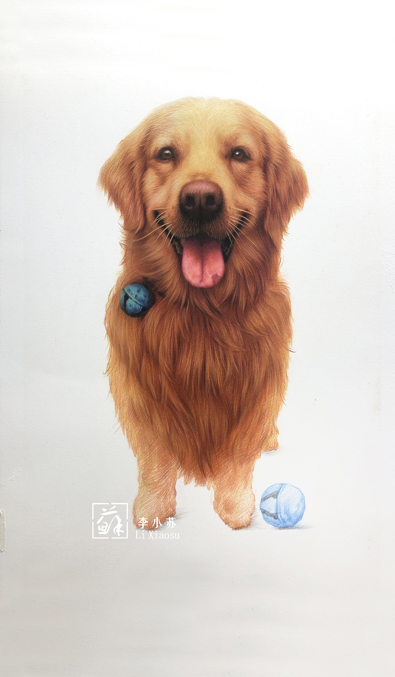 —彩铅动物金毛🐶
