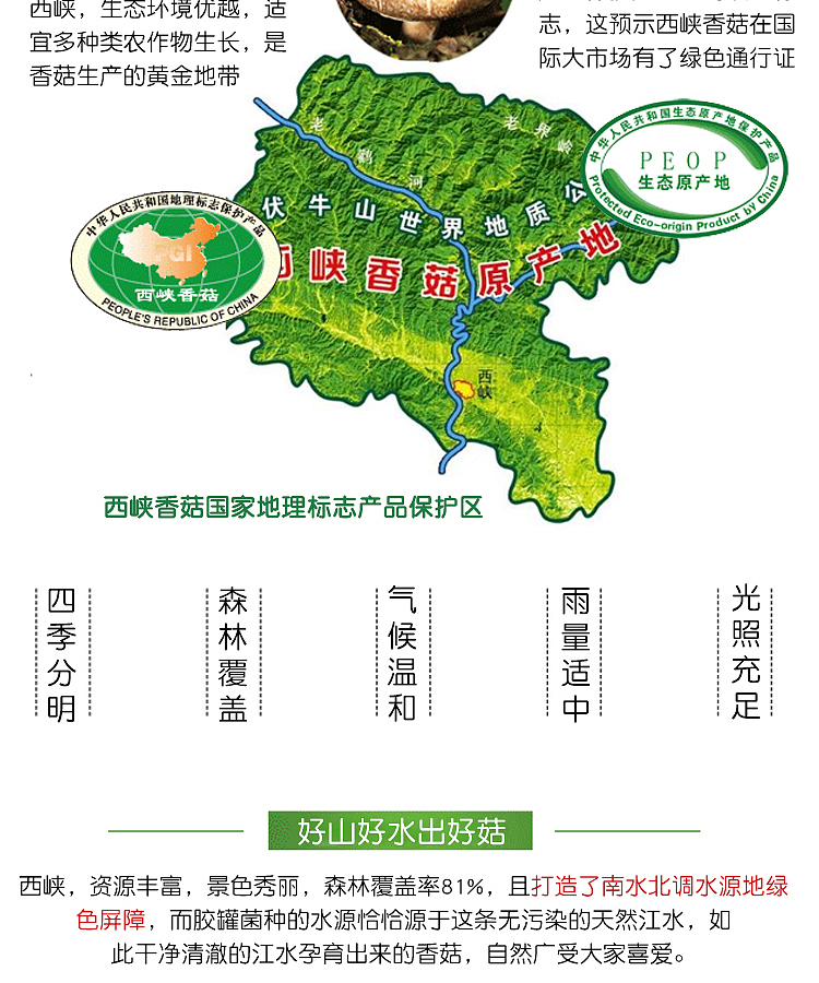 西峡香菇南阳淘邦拍摄产品图片制作淘宝拼多多详情页