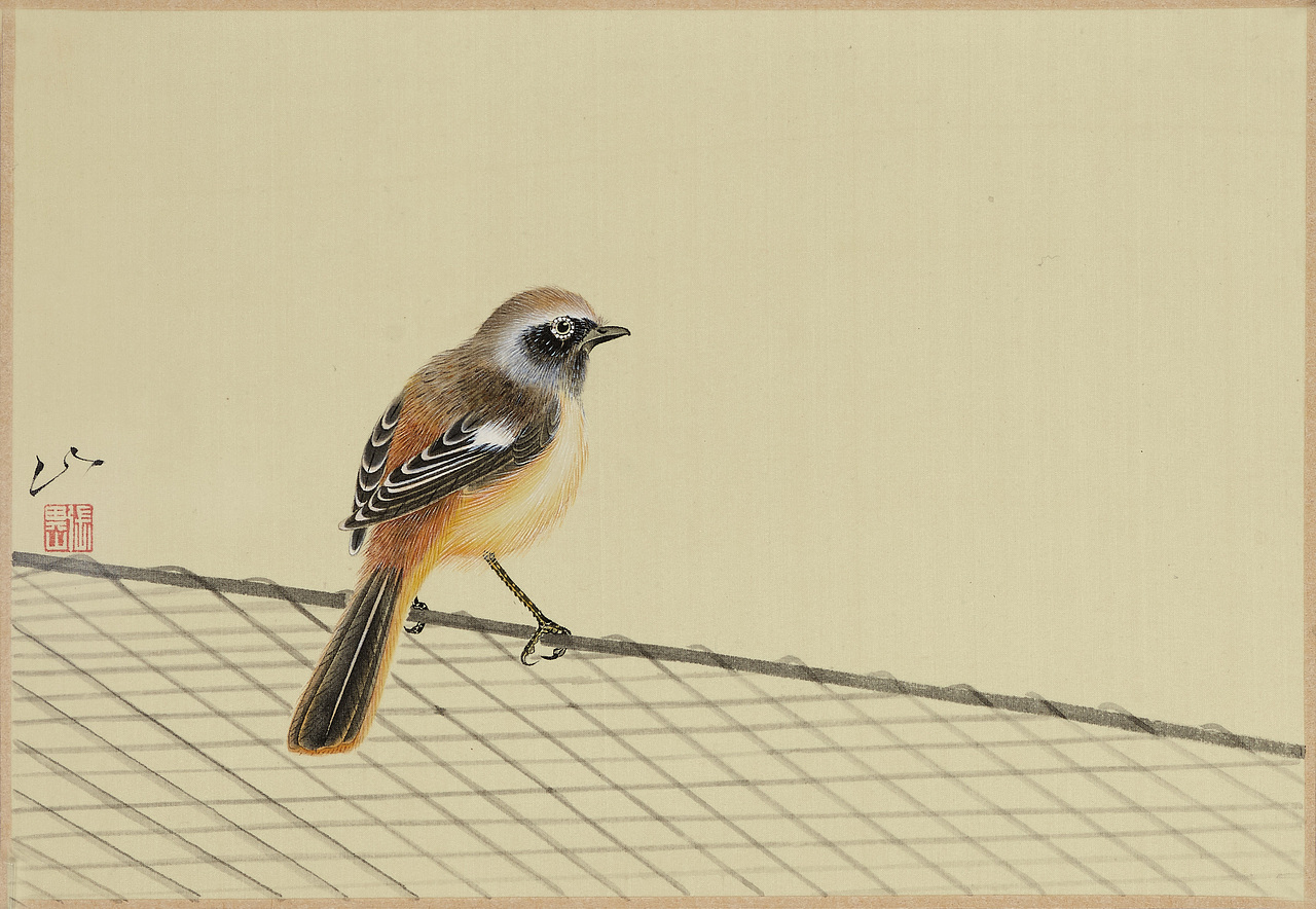 張?zhí)飩セB畫作品（圖ZMTUzOTA2NjIw） - 繪畫 - 站酷設(shè)計師張?zhí)飩ピ瓌?chuàng)素材 - 站酷ZCOOL