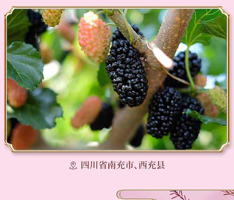 桑葚玫瑰花果酒详情页