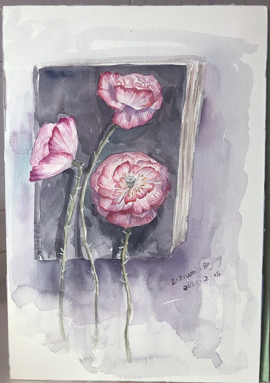 个人水彩作品集——《绽放花鸟系列》（图ZMzU0OTQ3NTYw） - 绘画 - 站酷设计师Z994203024原创素材 - 站酷ZCOOL