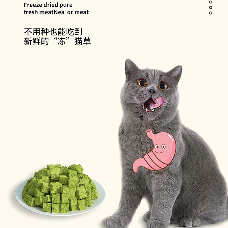 宠物零食冻干桶详情页