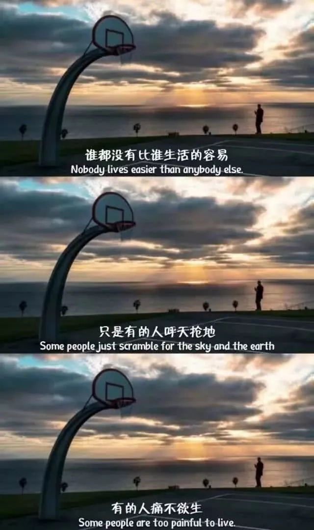 故事海的个人主页（封面预览） - 主页封面设置 - 站酷设计师故事海原创素材 - 站酷ZCOOL