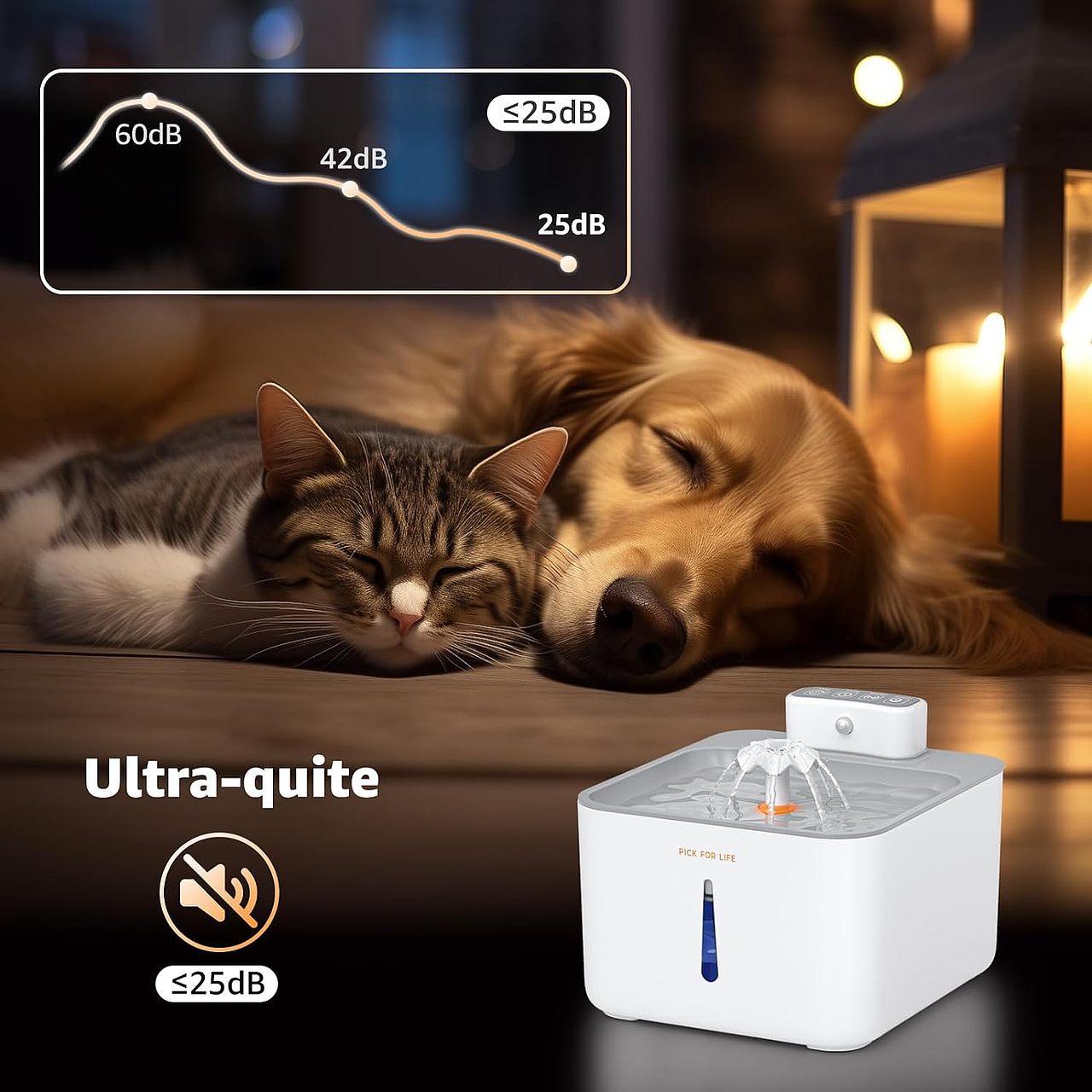 宠物喝水器亚马逊美工图片设计🎬