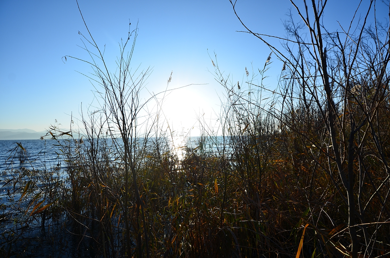 云南大理——龙龛（图ZNDA3MTI5NDA=） - 风光摄影 - 站酷设计师黑仔标本手工原创素材 - 站酷ZCOOL