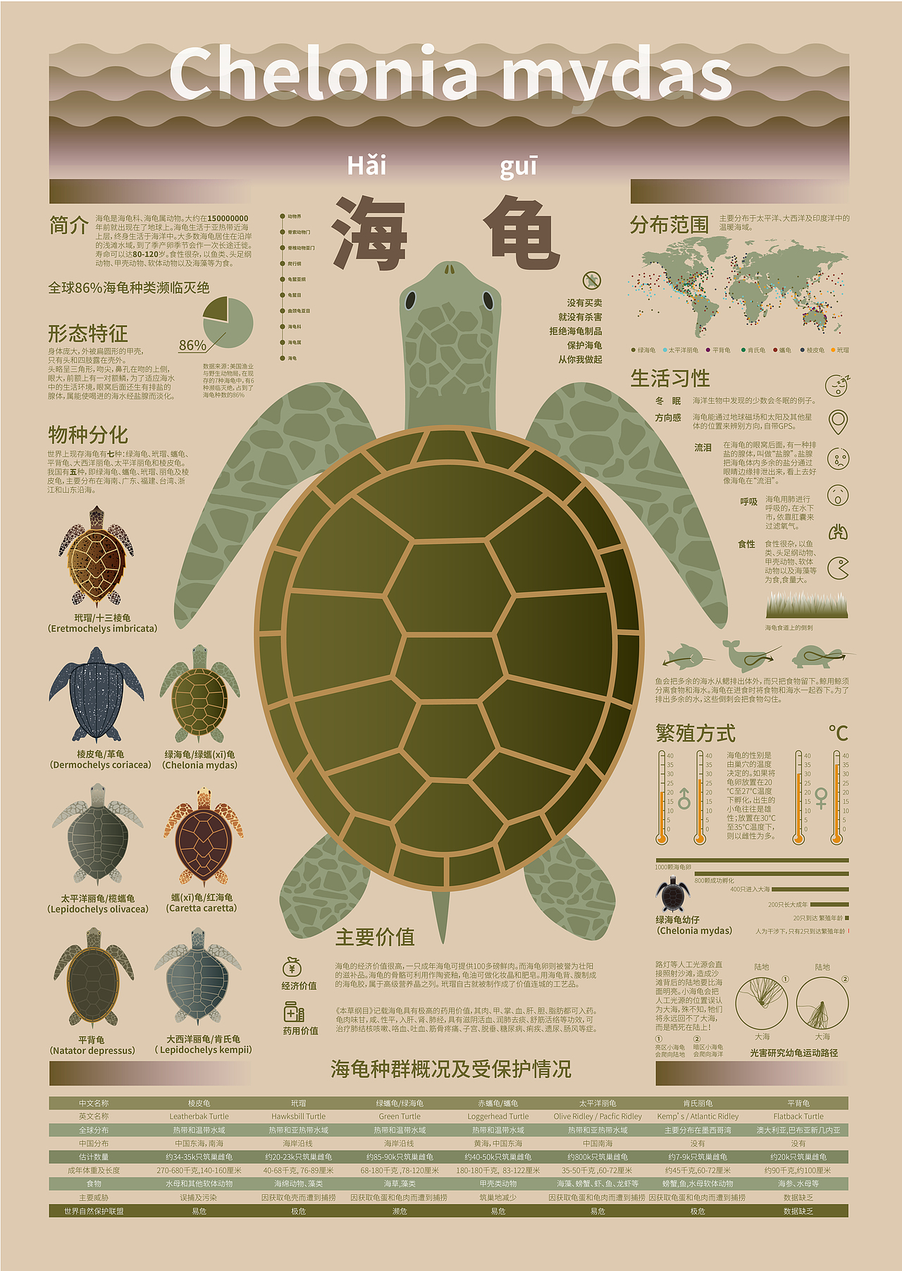 海洋生物科普信息图表|平面|信息图表|杨得得 - 原创作品 - 站酷