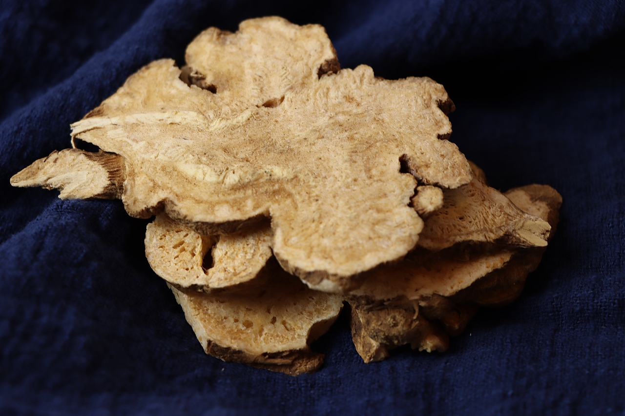 白术产品药材拍摄