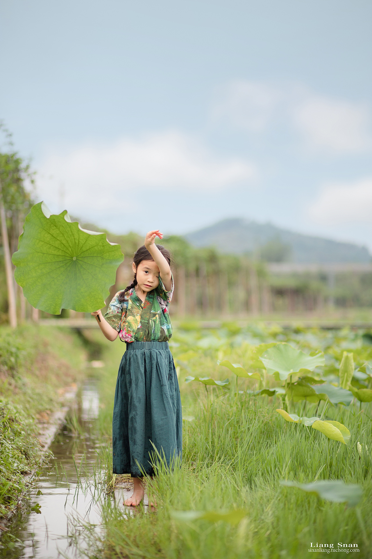 ⭐夏雨听荷