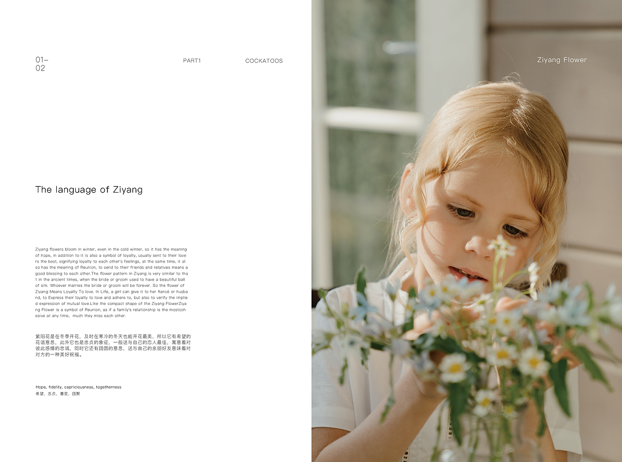 一家花店-画册设计（图ZMjc0MjczMDI0） - 书籍/画册 - 站酷设计师拉粑粑小仙女原创素材 - 站酷ZCOOL