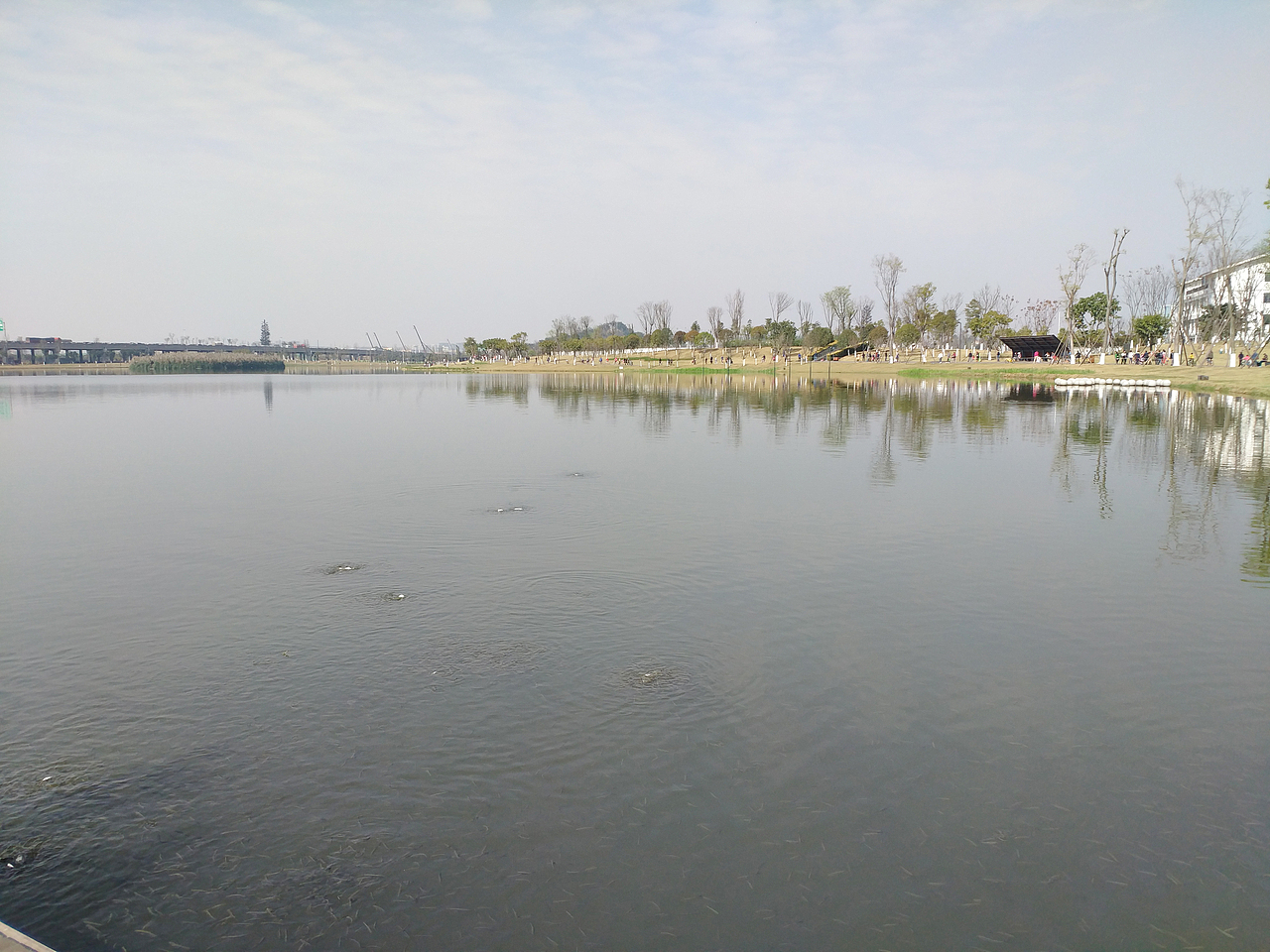 很久以前的照片拍摄（图ZMTAwMTY3MzQ0） - 产品摄影 - 站酷设计师songgang100原创素材 - 站酷ZCOOL