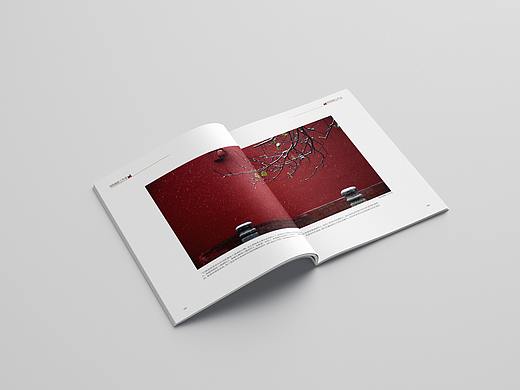 摄影工作室画册设计欣赏