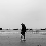 大树lyon的头像