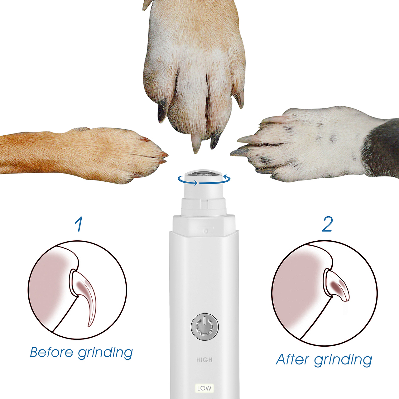 亚马逊 宠物喂食 静物摄影  主图设计+产品拍摄精修