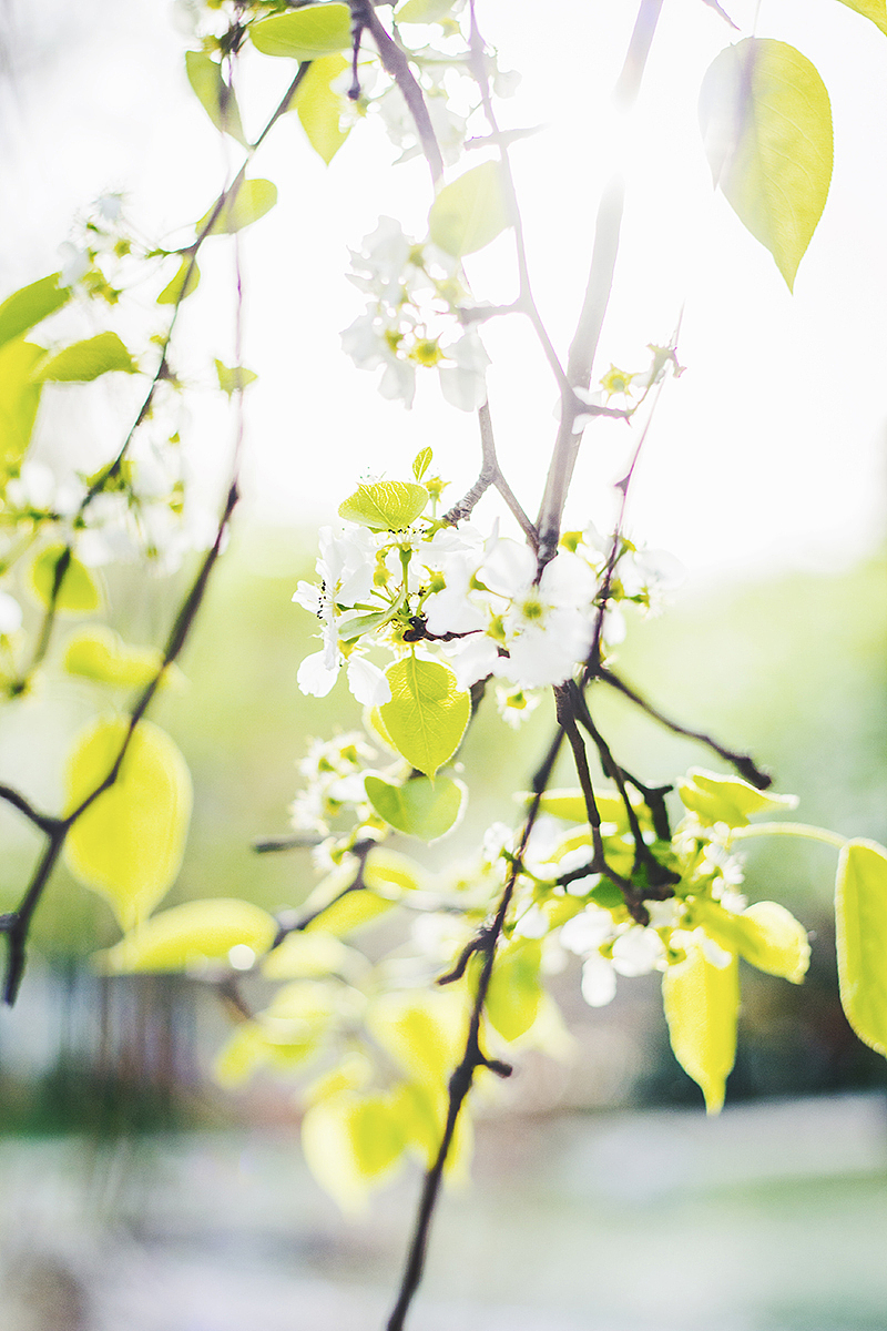 爱的物理学（图ZODI4ODAzOTY=） - 人像摄影 - 站酷设计师又圆仔原创素材 - 站酷ZCOOL