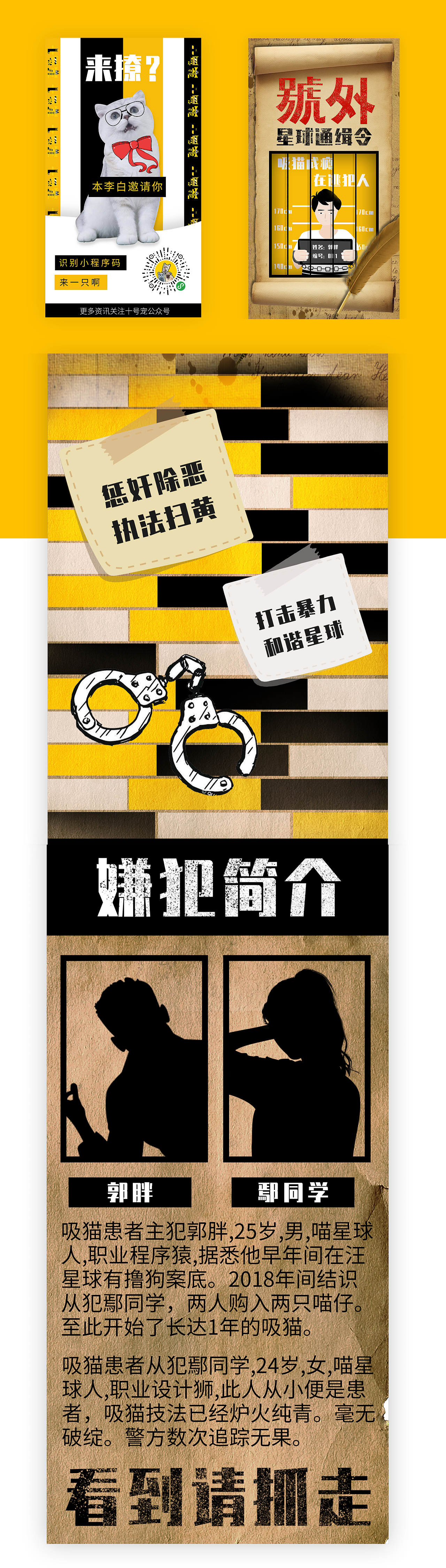 【十号宠】小程序（图ZMTg0Nzc4NTIw） - 移动端网页 - 站酷设计师Eosy原创素材 - 站酷ZCOOL
