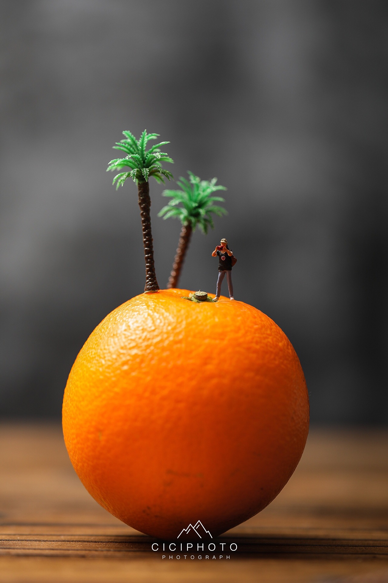 微观世界·小人国