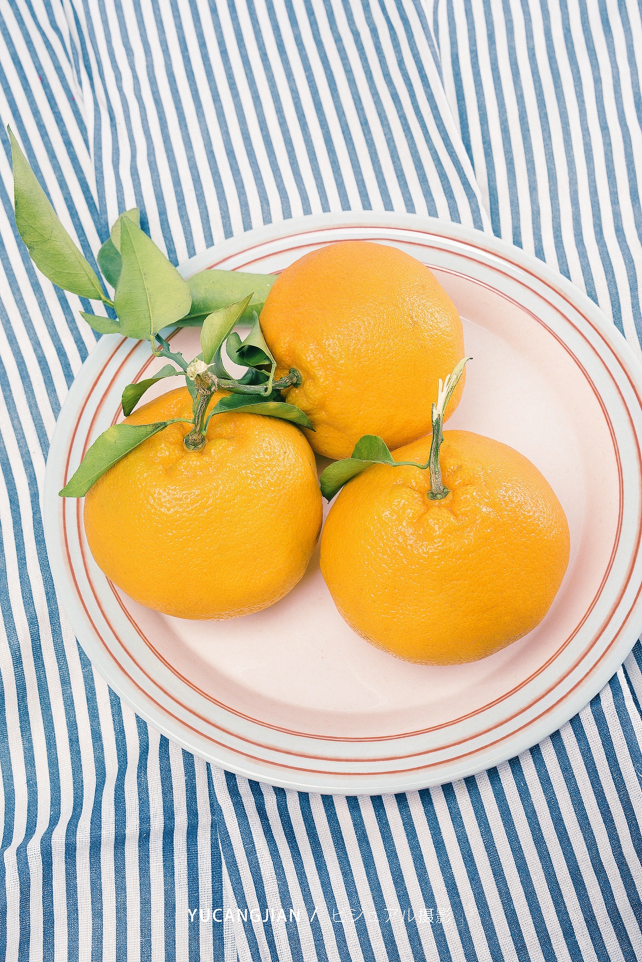 可爱的丑柑|摄影|静物|摄影师鱼儿姑娘 - 原创作品 - 站酷 (zcool)