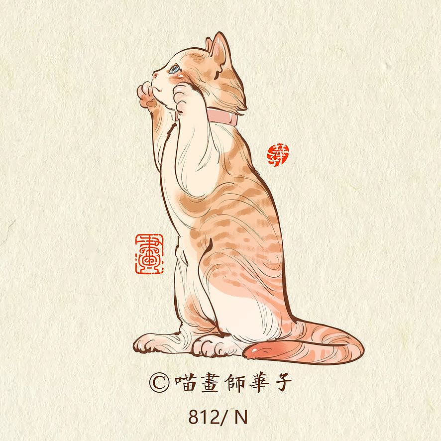 画猫的第三季150天,837天的画猫纪录