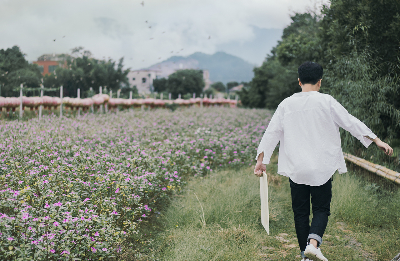 田园画师「鲸摄」