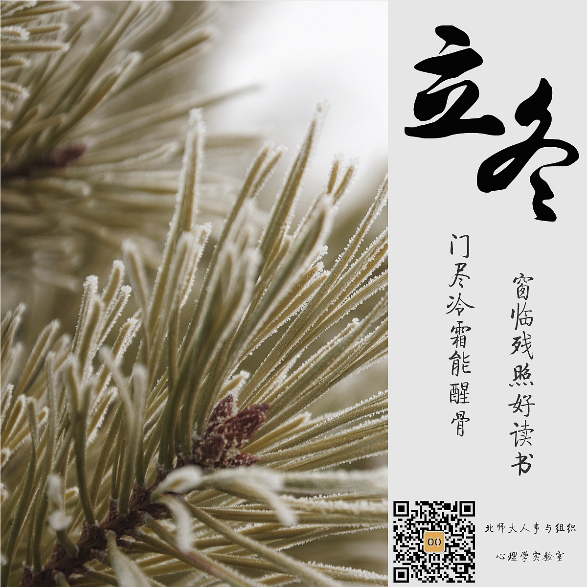 【节气】立冬（图ZNjMwNjY5NTI=） - 宣传物料 - 站酷设计师TyrannusH原创素材 - 站酷ZCOOL