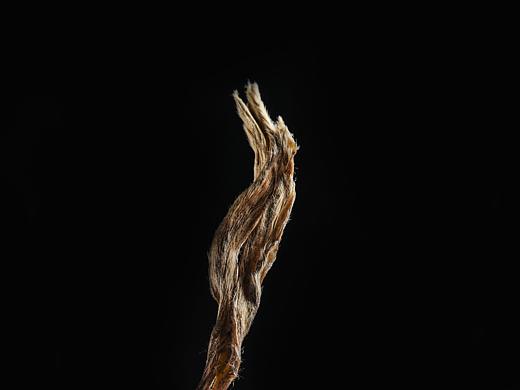 普洱茶