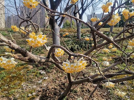 春日（个人主页-ZNTg1MzMwNjQ=） - 风光摄影 - 站酷设计师倪宝xly原创素材 - 站酷ZCOOL