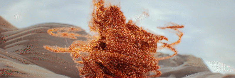 网易海发品牌部2019日本市场分享会