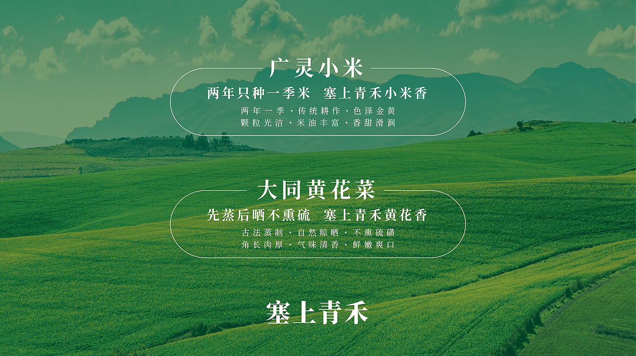 赛上青禾小米和黄花菜的包装设计-四喜包装设计(图ZMjI4MzIzOTcy) - 包装 - 站酷设计师四喜亮点包装策划原创素材 - 站酷ZCOOL