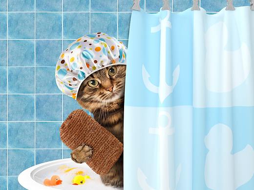 2021年度总结（个人主页-ZMTM0NzM2MA==） - 多领域 - 站酷设计师一个野生的设计师原创素材 - 站酷ZCOOL