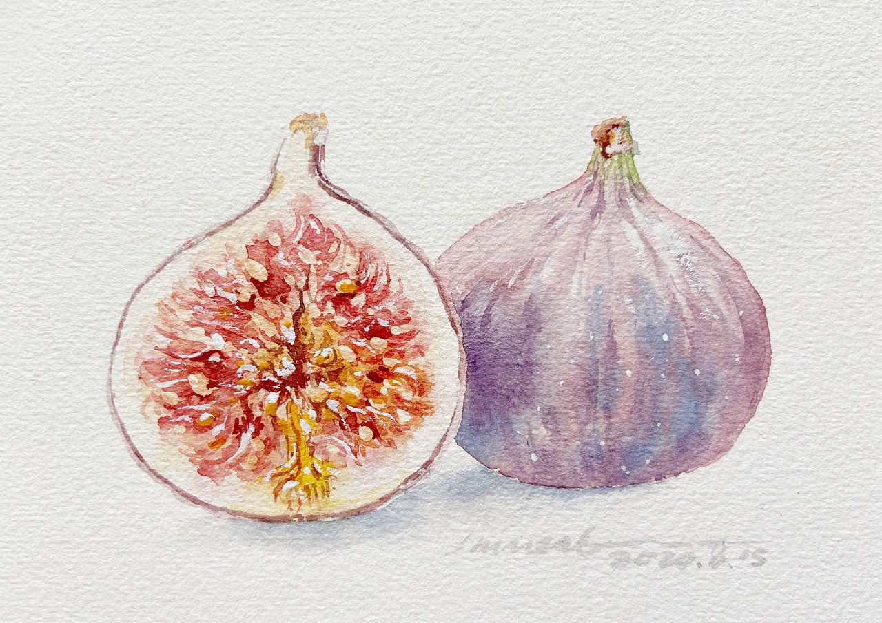 水彩手绘无花果