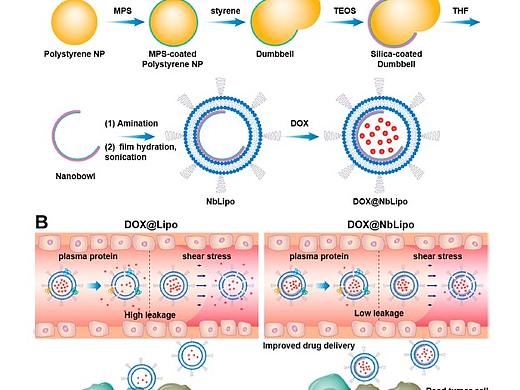 科研示意图TOC设计学术期刊SCI封面图插图流程图设计
