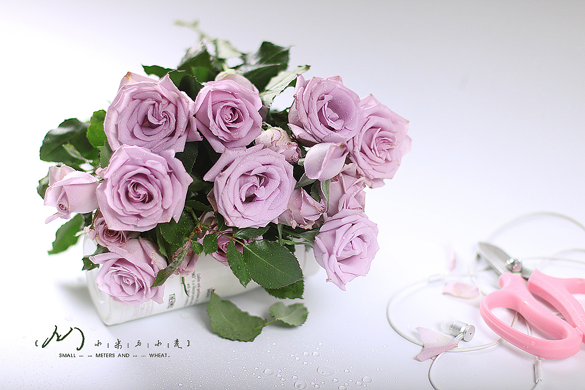 Flower-紫精灵（图ZOTc2MjE0ODA=） - 产品摄影 - 站酷设计师小米与小麦原创素材 - 站酷ZCOOL