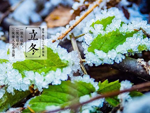 边外林场立冬的那一天