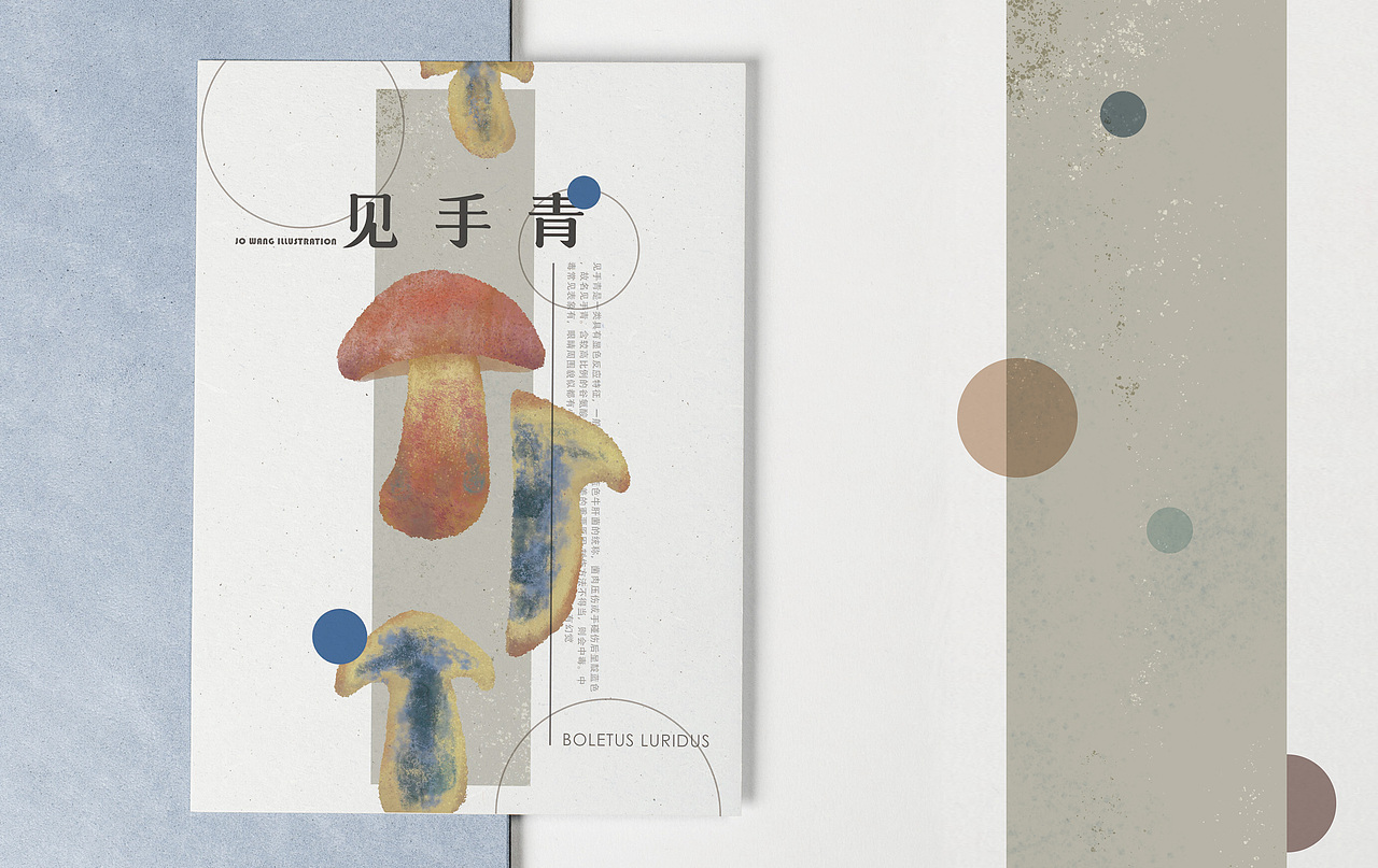 云南野生菌 | 非 致幻图谱