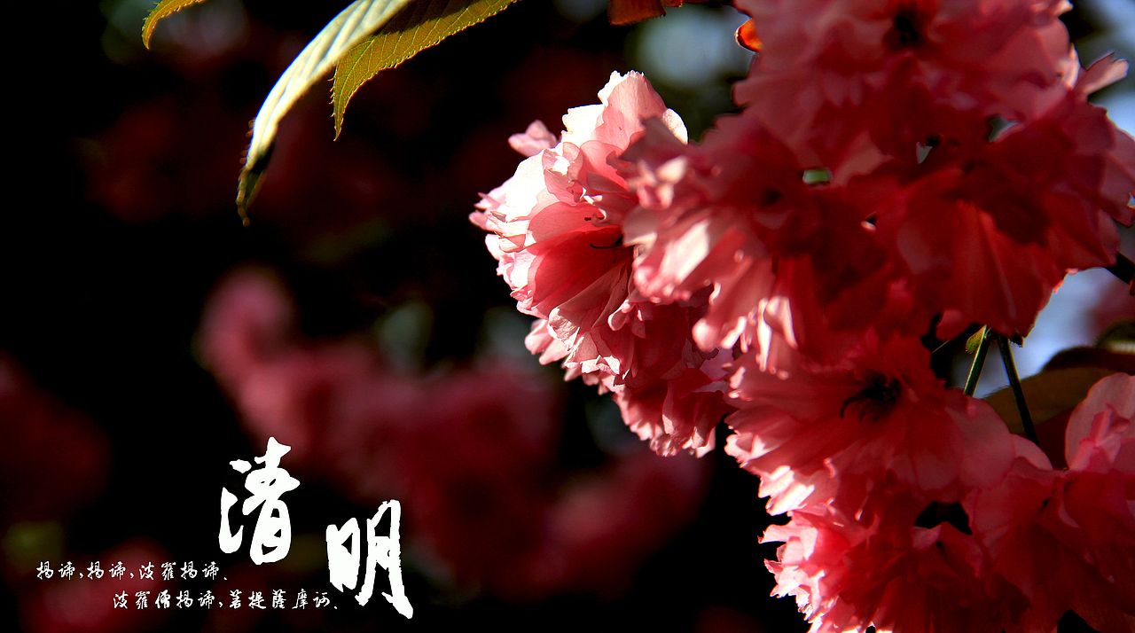 大桥下的石头（图ZODkzMzgxNg==） - 风光摄影 - 站酷设计师半道子原创素材 - 站酷ZCOOL