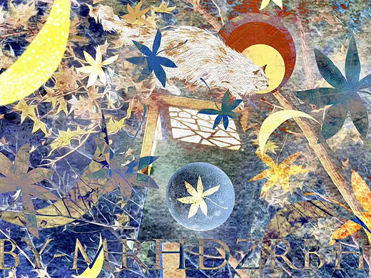 元気星空_南宫《夜 幕》原创手绘数字藏品
