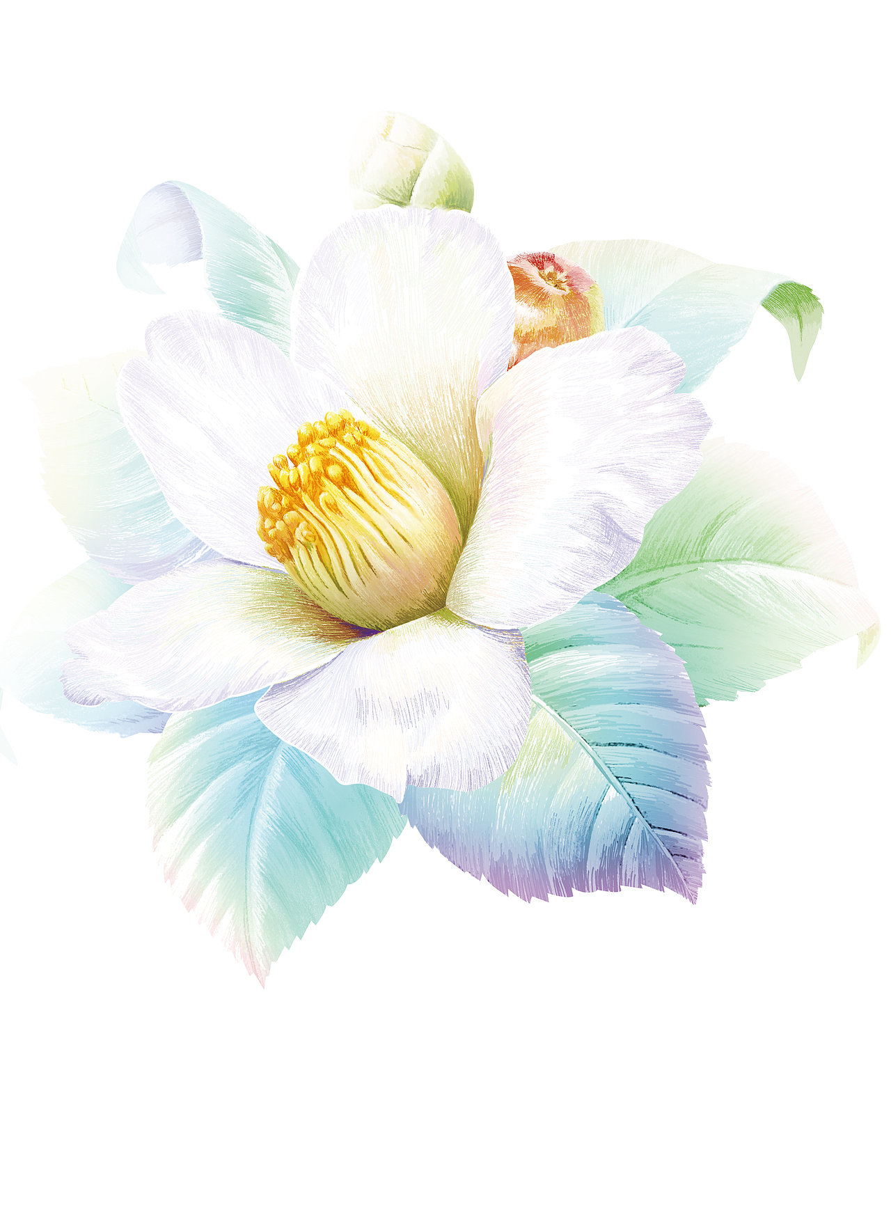 椿植面膜包装设计丨西林原创（图ZMTUxNTA3OTU2） - 包装 - 站酷设计师西林杰客原创素材 - 站酷ZCOOL