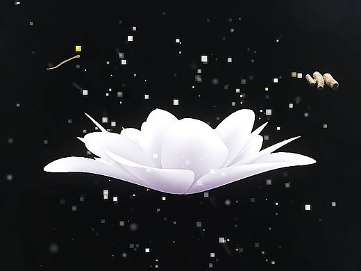 一个化妆品广告片制作，禁止商业使用